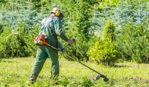 скосим быстро и не дорого траву