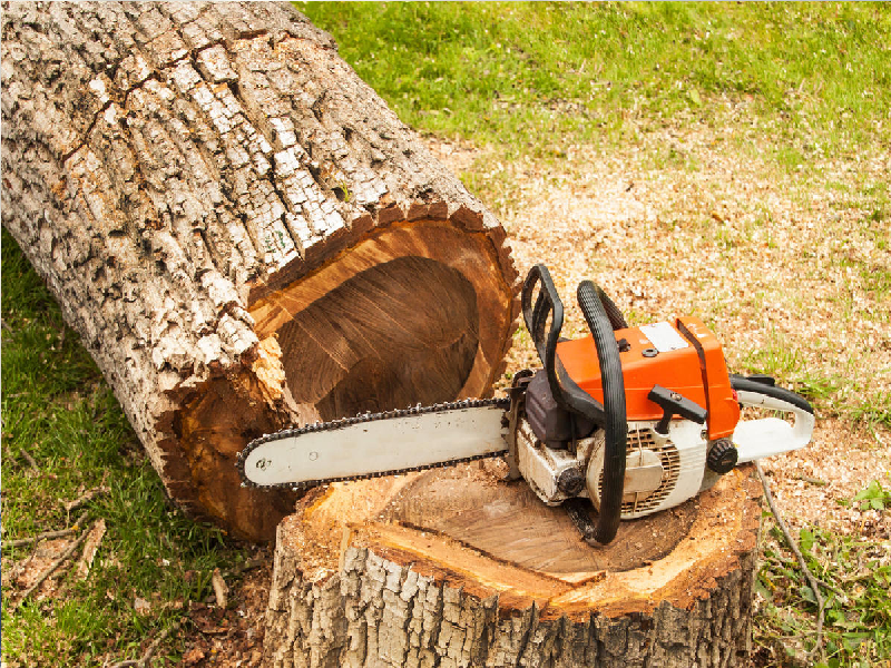 Качественно пилим деревья