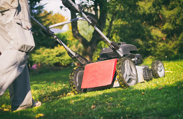 скосим ваш участок быстро