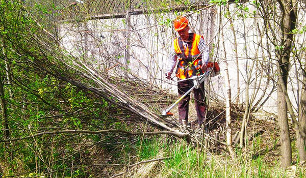 качественная вырубка кустарника