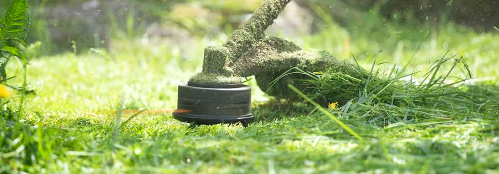 pokos-travy-uchastka-trimmerom