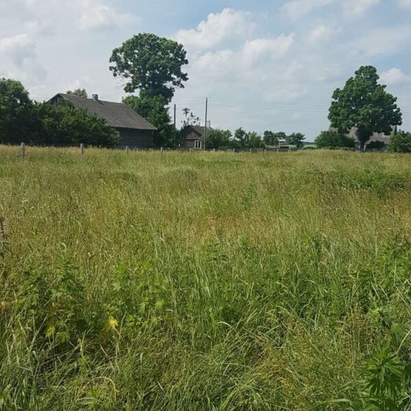 наши работы на земле