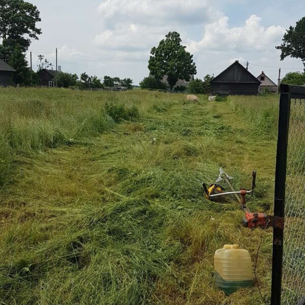 наши работы на земле