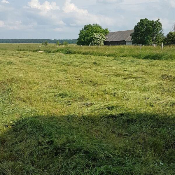 наши работы на земле